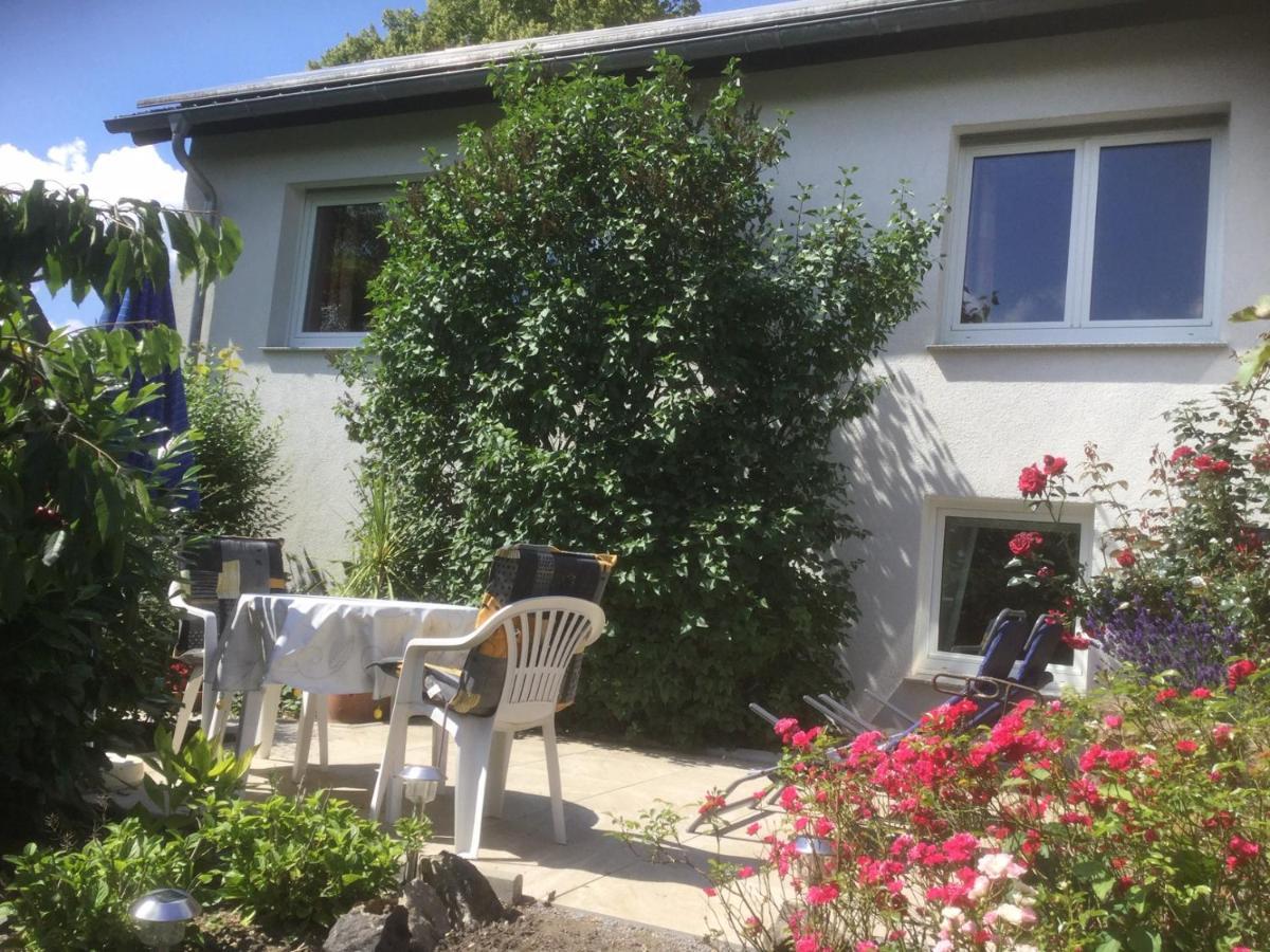 Ferienhaus Moock Horn-Bad Meinberg Exterior foto